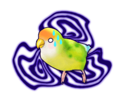 Real bird sticker! third sticker #10906102