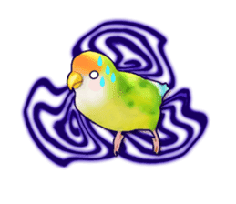 Real bird sticker! third sticker #10906102
