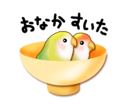 Real bird sticker! third sticker #10906103