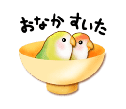 Real bird sticker! third sticker #10906103