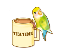 Real bird sticker! third sticker #10906104