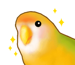 Real bird sticker! third sticker #10906106