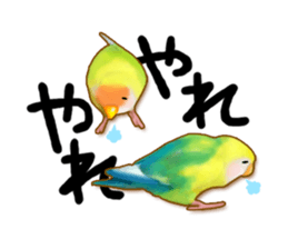 Real bird sticker! third sticker #10906107