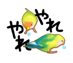 Real bird sticker! third sticker #10906107
