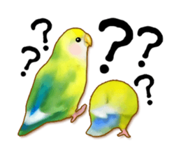 Real bird sticker! third sticker #10906111