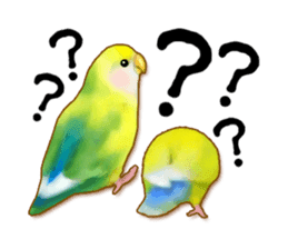 Real bird sticker! third sticker #10906111