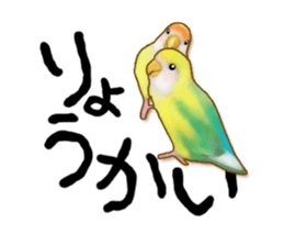 Real bird sticker! third sticker #10906113