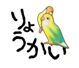 Real bird sticker! third sticker #10906113