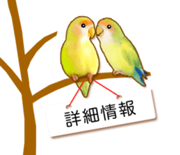 Real bird sticker! third sticker #10906120