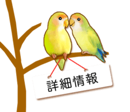 Real bird sticker! third sticker #10906120