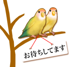 Real bird sticker! third sticker #10906121
