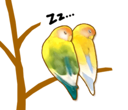 Real bird sticker! third sticker #10906122