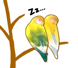 Real bird sticker! third sticker #10906122