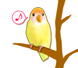 Real bird sticker! third sticker #10906123