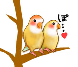Real bird sticker! third sticker #10906124