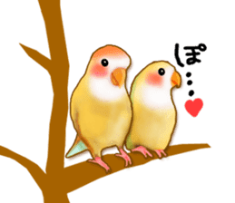 Real bird sticker! third sticker #10906124