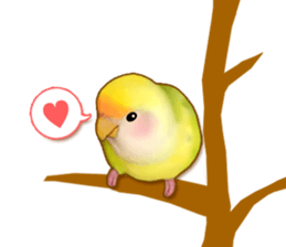 Real bird sticker! third sticker #10906125