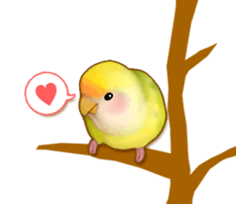 Real bird sticker! third sticker #10906125