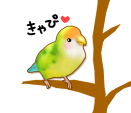Real bird sticker! third sticker #10906126