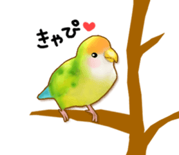 Real bird sticker! third sticker #10906126