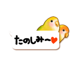 Real bird sticker! third sticker #10906127