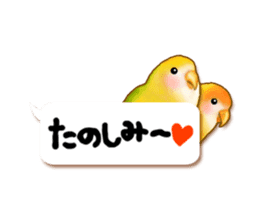 Real bird sticker! third sticker #10906127