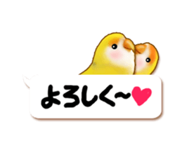 Real bird sticker! third sticker #10906128