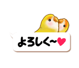Real bird sticker! third sticker #10906128