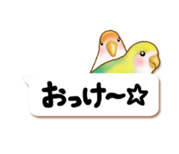 Real bird sticker! third sticker #10906129