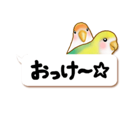 Real bird sticker! third sticker #10906129
