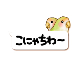 Real bird sticker! third sticker #10906130