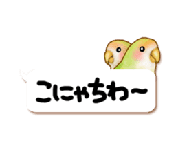 Real bird sticker! third sticker #10906130