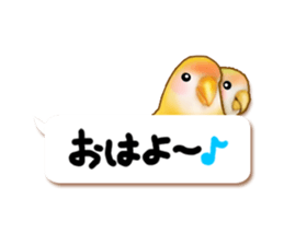 Real bird sticker! third sticker #10906131
