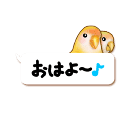 Real bird sticker! third sticker #10906131
