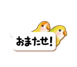 Real bird sticker! third sticker #10906132
