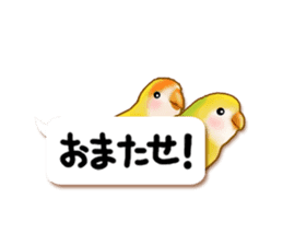Real bird sticker! third sticker #10906132