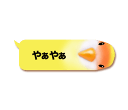 Real bird sticker! third sticker #10906133