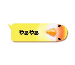 Real bird sticker! third sticker #10906133