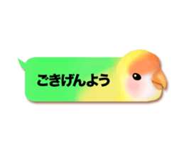 Real bird sticker! third sticker #10906134