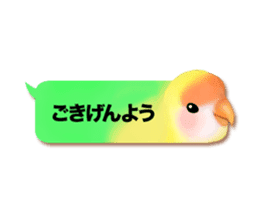Real bird sticker! third sticker #10906134
