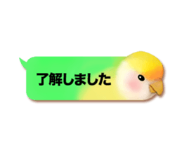 Real bird sticker! third sticker #10906135