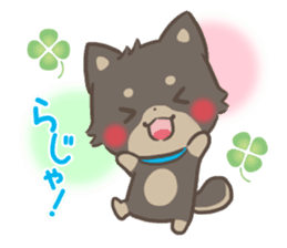 mild-fluffy-Shiba-inu -spring&summer- sticker #10906697