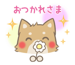 mild-fluffy-Shiba-inu -spring&summer- sticker #10906698