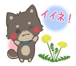 mild-fluffy-Shiba-inu -spring&summer- sticker #10906701