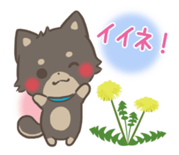 mild-fluffy-Shiba-inu -spring&summer- sticker #10906701