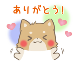 mild-fluffy-Shiba-inu -spring&summer- sticker #10906704