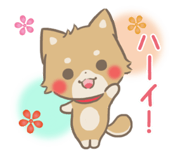 mild-fluffy-Shiba-inu -spring&summer- sticker #10906706
