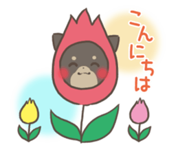 mild-fluffy-Shiba-inu -spring&summer- sticker #10906709