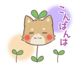 mild-fluffy-Shiba-inu -spring&summer- sticker #10906710