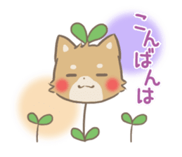 mild-fluffy-Shiba-inu -spring&summer- sticker #10906710